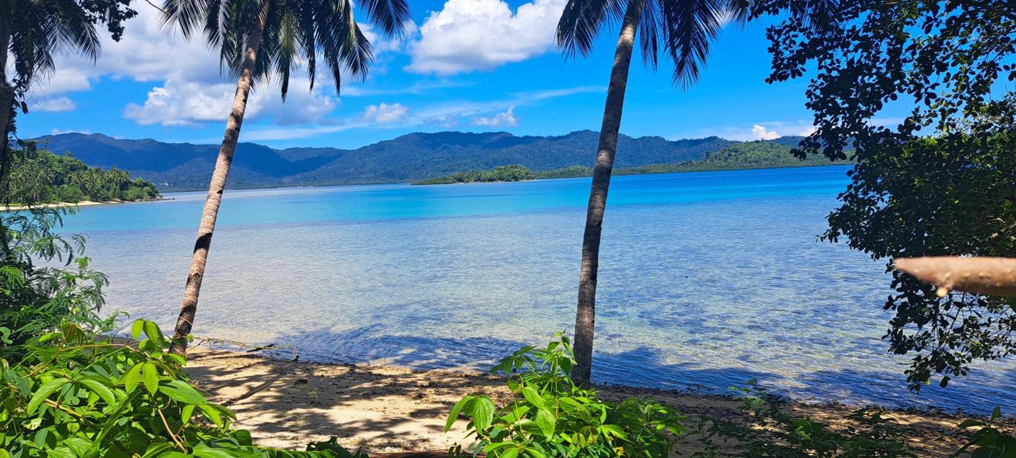The View - Jungle Lodges - Port Barton San Vicente  Exteriör bild