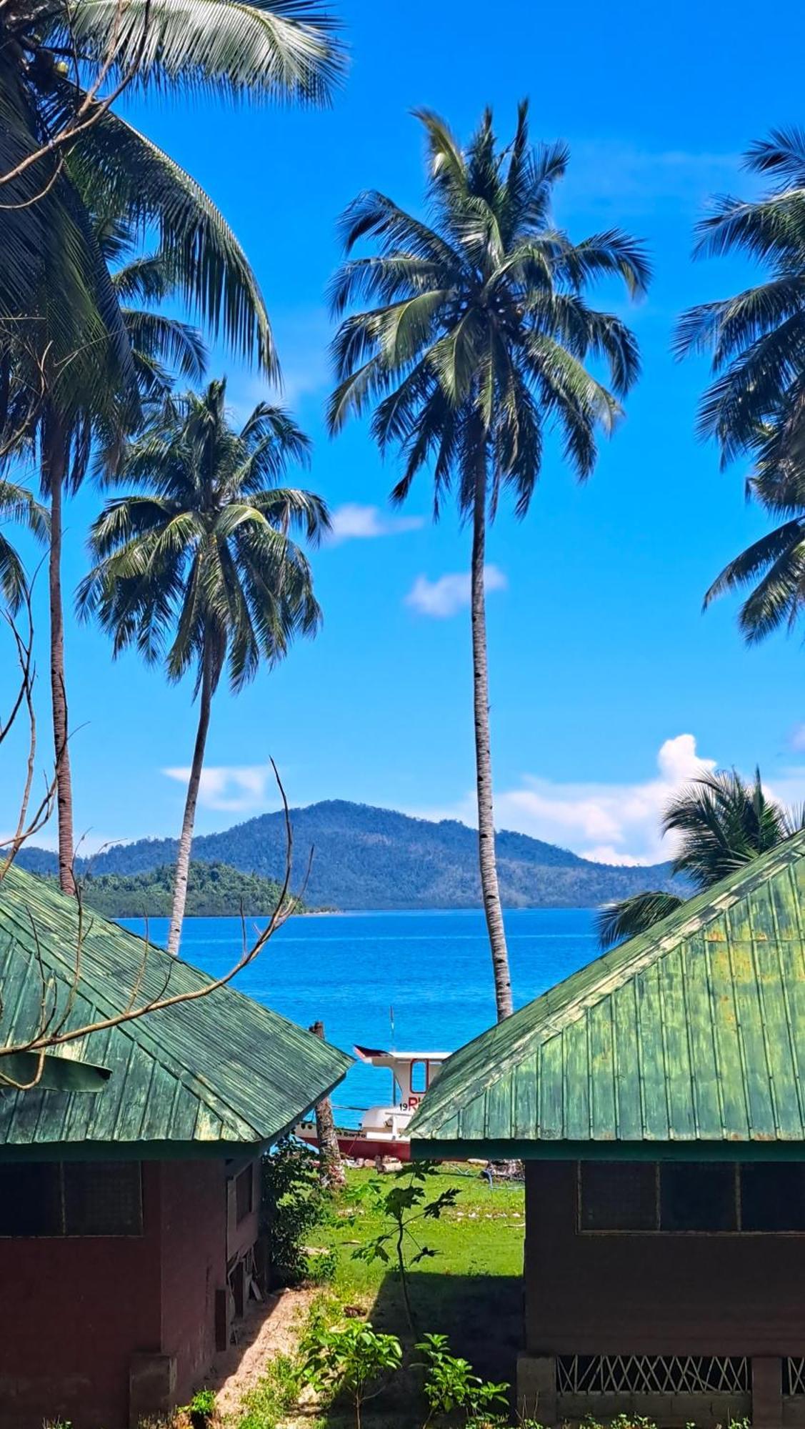 The View - Jungle Lodges - Port Barton San Vicente  Exteriör bild